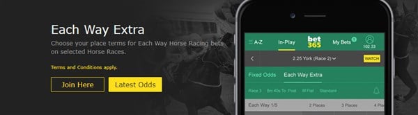 bet36 each way extra